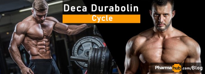 5 things to know before you run a Deca Durabolin Cycle | PharmaHub.to
