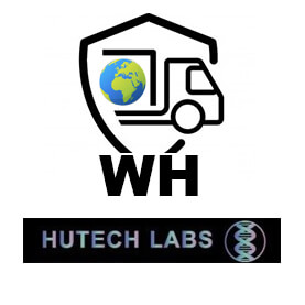 WH Hutech World